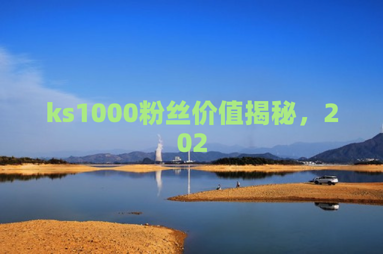 ks1000粉丝价值揭秘，2025年市场行情大解析！