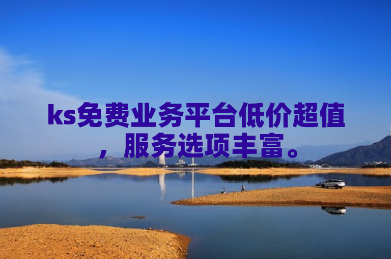 ks免费业务平台低价超值，服务选项丰富。