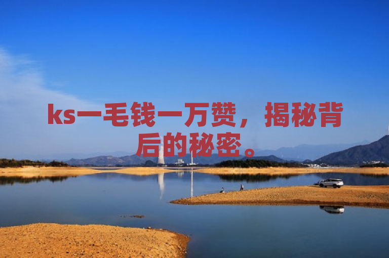 ks一毛钱一万赞，揭秘背后的秘密。
