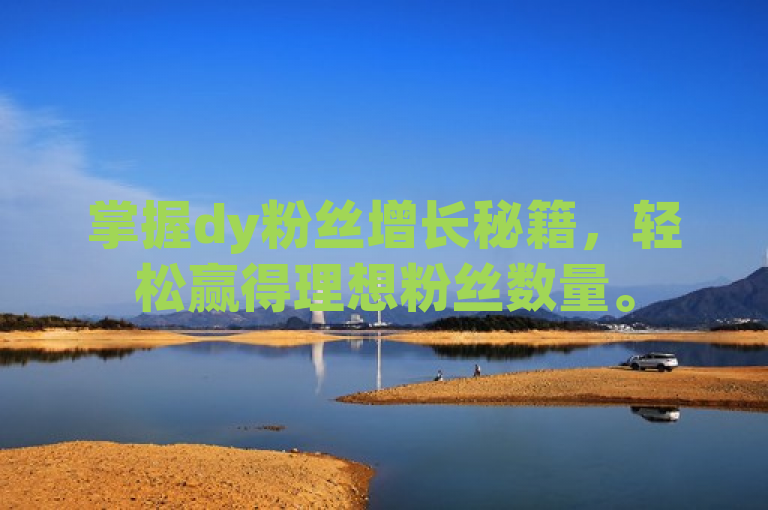 掌握dy粉丝增长秘籍，轻松赢得理想粉丝数量。