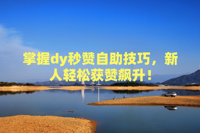 掌握dy秒赞自助技巧，新人轻松获赞飙升！