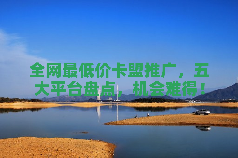 全网最低价卡盟推广，五大平台盘点，机会难得！
