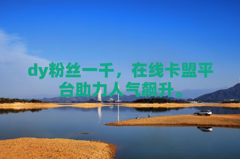 dy粉丝一千，在线卡盟平台助力人气飙升。