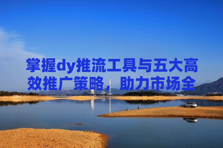 掌握dy推流工具与五大高效推广策略，助力市场全面解析。