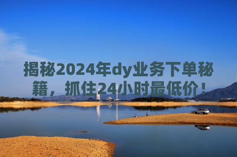 揭秘2024年dy业务下单秘籍，抓住24小时最低价！