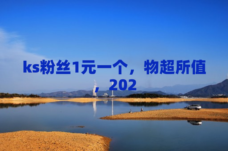 ks粉丝1元一个，物超所值，2025年必学秘籍揭秘！