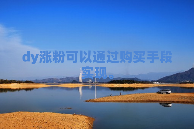 dy涨粉可以通过购买手段实现。