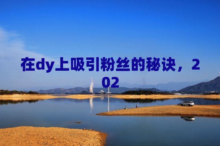 在dy上吸引粉丝的秘诀，2025年必学的独家技巧！
