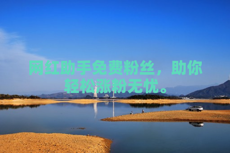网红助手免费粉丝，助你轻松涨粉无忧。
