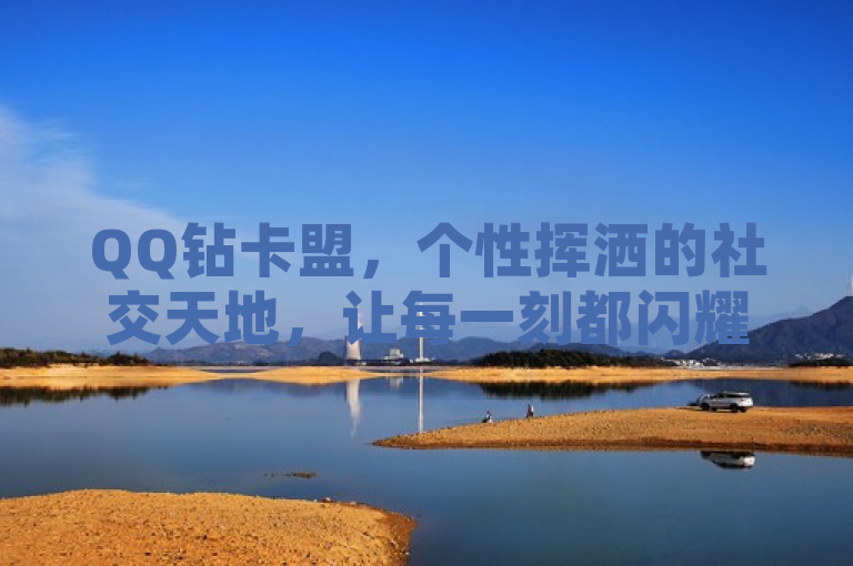 QQ钻卡盟，个性挥洒的社交天地，让每一刻都闪耀。