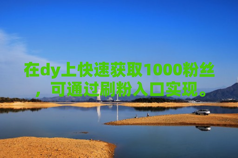 在dy上快速获取1000粉丝，可通过刷粉入口实现。