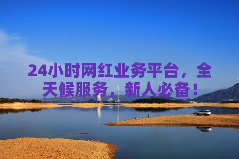 24小时网红业务平台，全天候服务，新人必备！