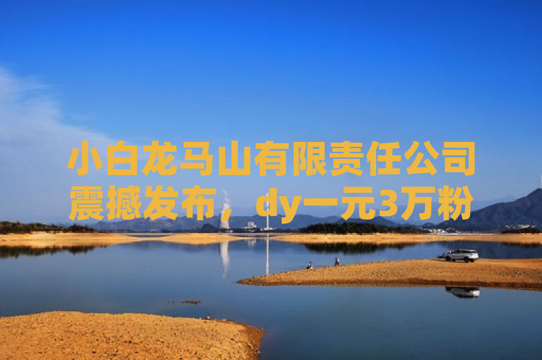 小白龙马山有限责任公司震撼发布，dy一元3万粉丝，ks买热度网站仅0.01元！