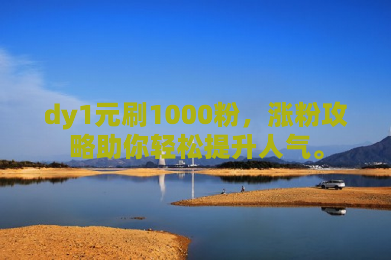 dy1元刷1000粉，涨粉攻略助你轻松提升人气。