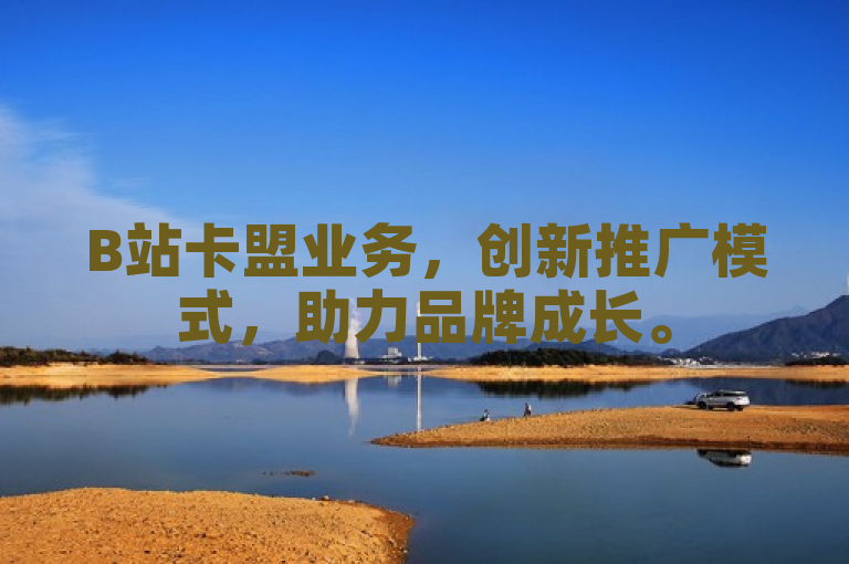 B站卡盟业务，创新推广模式，助力品牌成长。