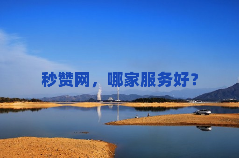 秒赞网，哪家服务好？