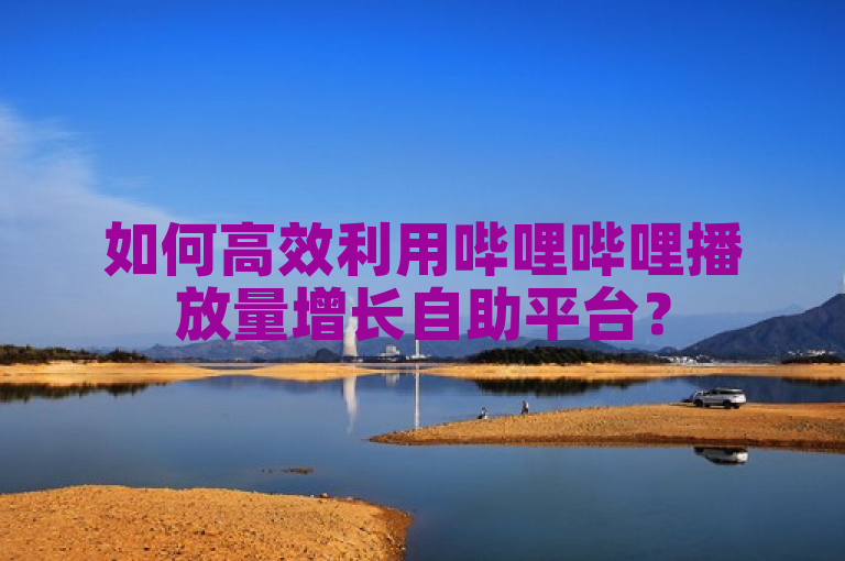 如何高效利用哔哩哔哩播放量增长自助平台？