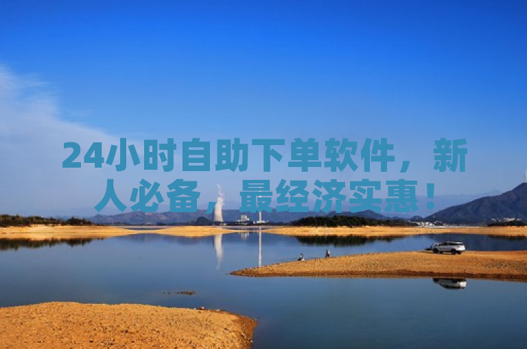 24小时自助下单软件，新人必备，最经济实惠！