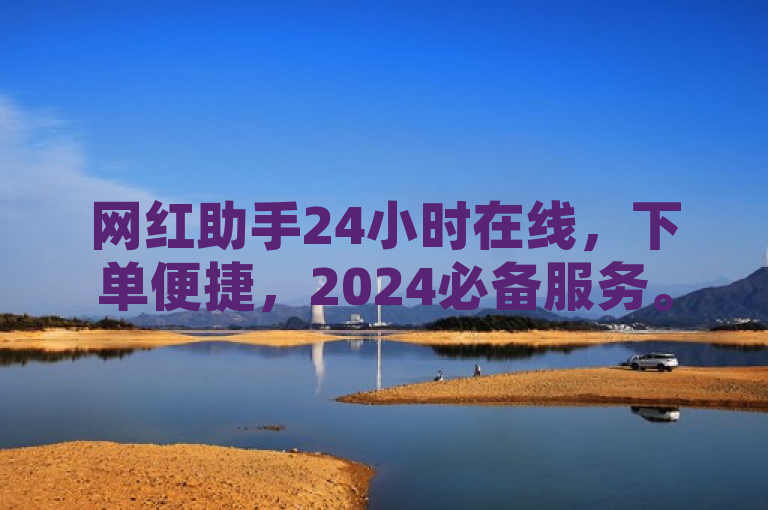 网红助手24小时在线，下单便捷，2024必备服务。