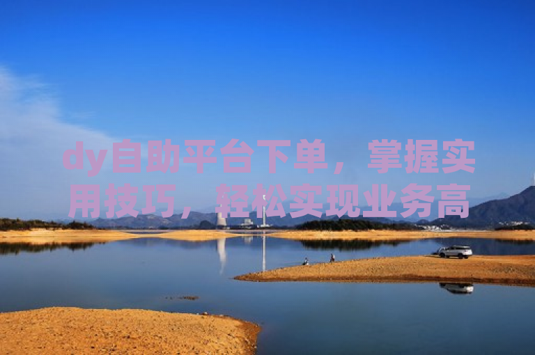 dy自助平台下单，掌握实用技巧，轻松实现业务高效执行。