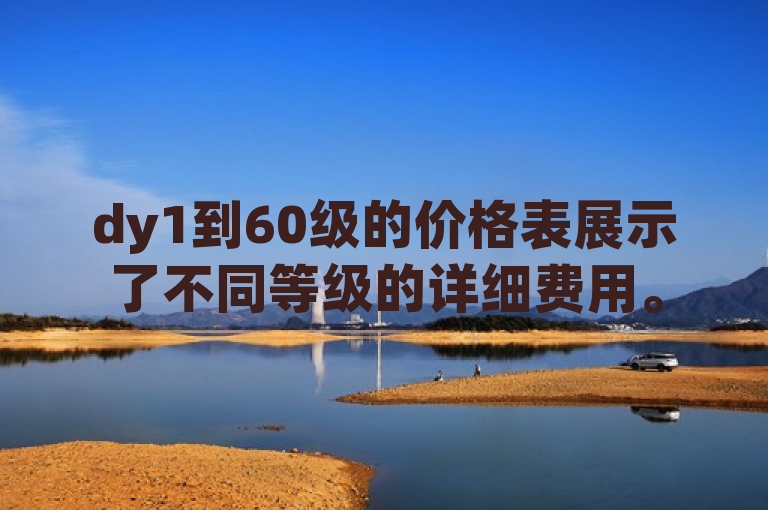 dy1到60级的价格表展示了不同等级的详细费用。