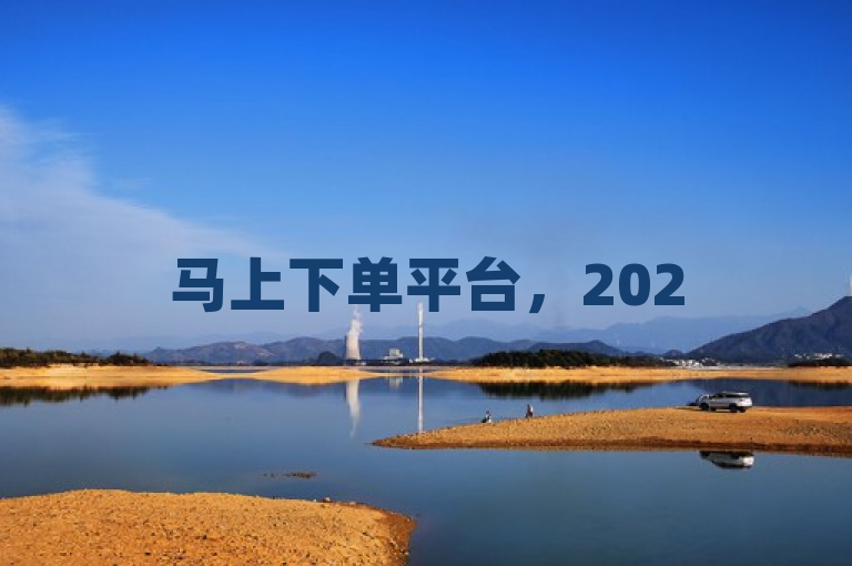 马上下单平台，2025年必学，揭秘独家推荐！