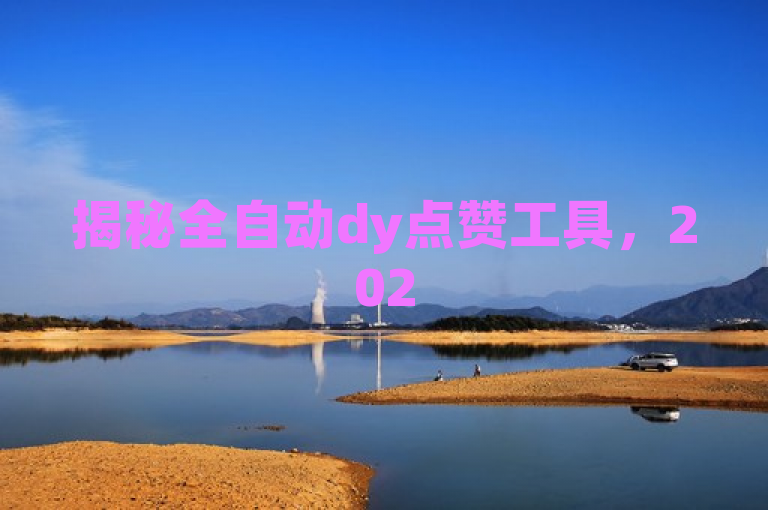 揭秘全自动dy点赞工具，2025必备技巧解析，助你轻松提升影响力！