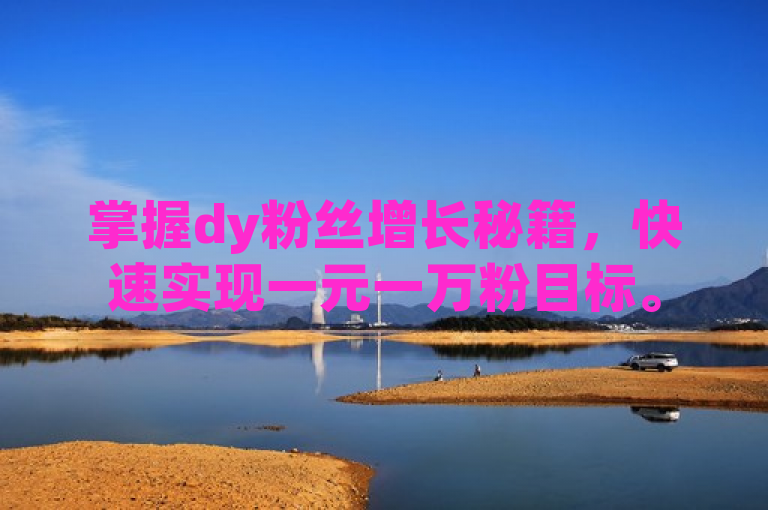 掌握dy粉丝增长秘籍，快速实现一元一万粉目标。