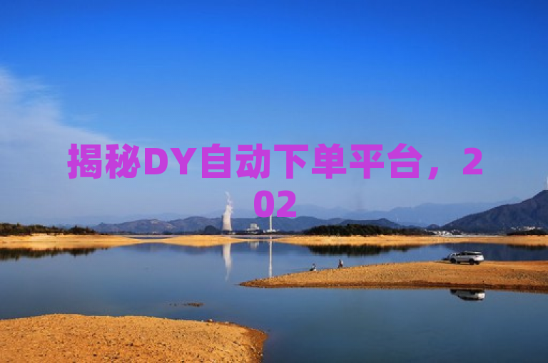 揭秘DY自动下单平台，2025必备技能，全天候自动化交易系统指南。