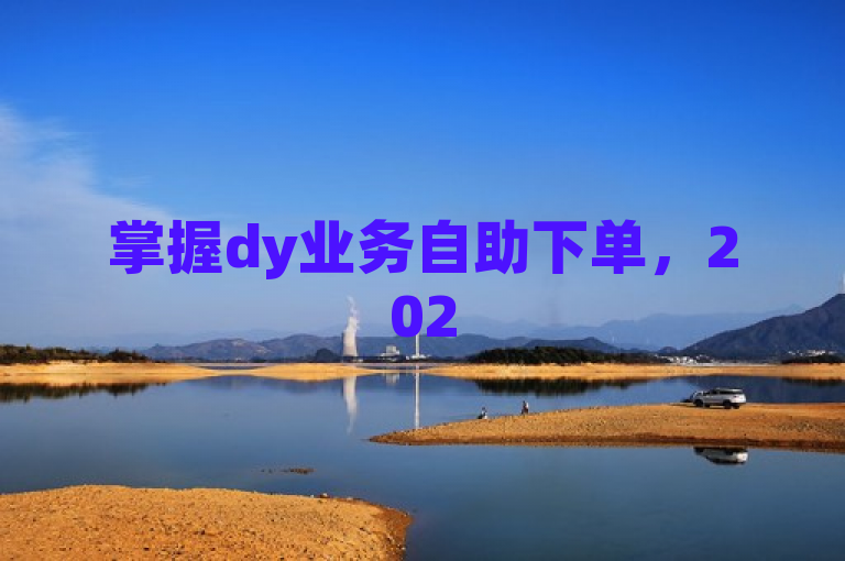 掌握dy业务自助下单，2025年在线操作必备技能！