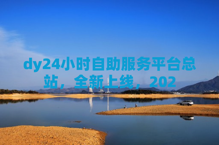 dy24小时自助服务平台总站，全新上线，2025必学！