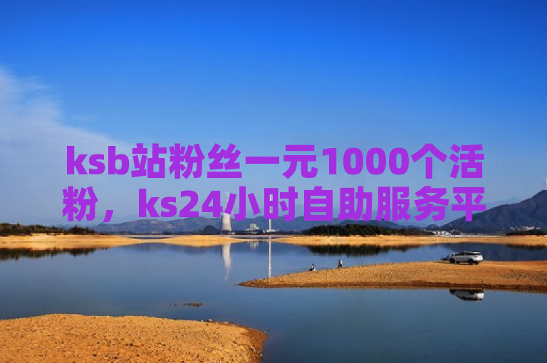 ksb站粉丝一元1000个活粉，ks24小时自助服务平台便宜。