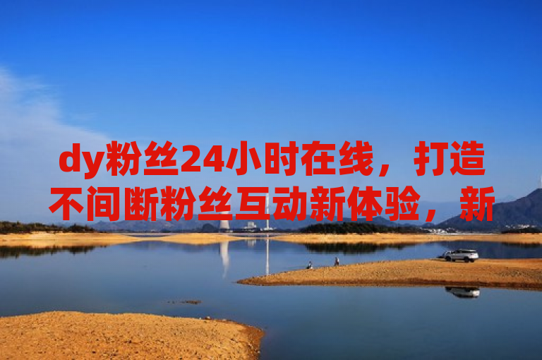 dy粉丝24小时在线，打造不间断粉丝互动新体验，新人必备！