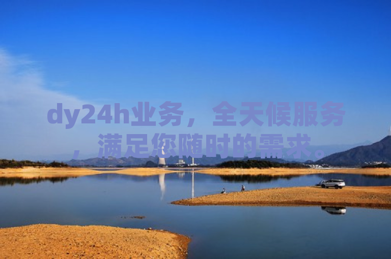dy24h业务，全天候服务，满足您随时的需求。