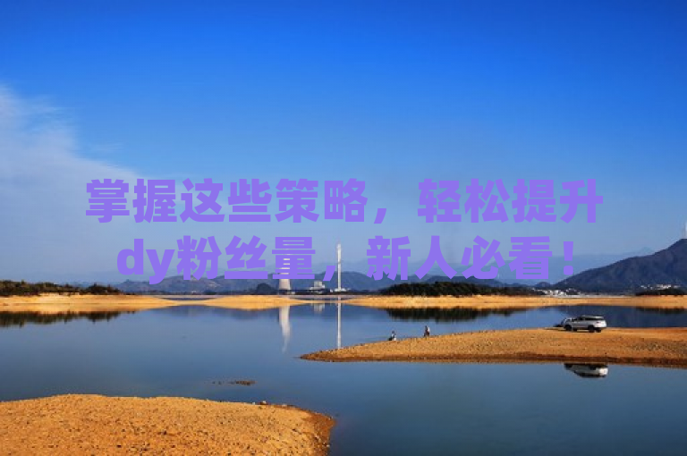 掌握这些策略，轻松提升dy粉丝量，新人必看！