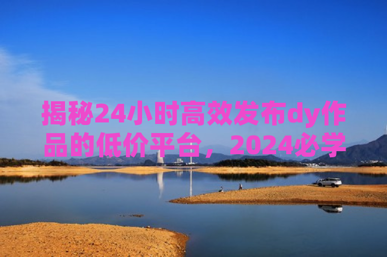 揭秘24小时高效发布dy作品的低价平台，2024必学技巧。