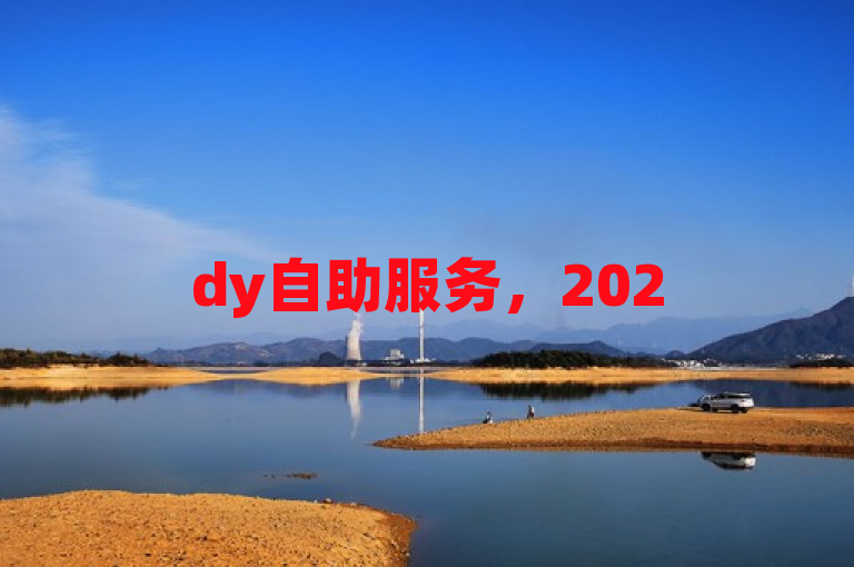 dy自助服务，2025必学技能，全面解析助你轻松掌握。