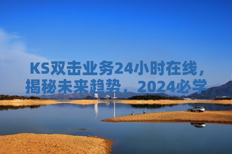 KS双击业务24小时在线，揭秘未来趋势，2024必学！