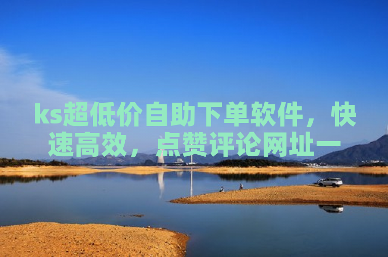 ks超低价自助下单软件，快速高效，点赞评论网址一应俱全。