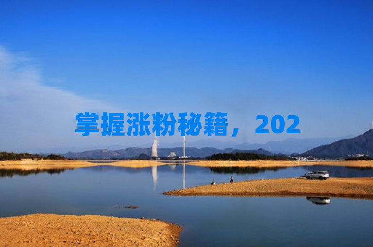 掌握涨粉秘籍，2025年轻松实现粉丝倍增。
