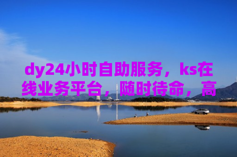 dy24小时自助服务，ks在线业务平台，随时待命，高效便捷。