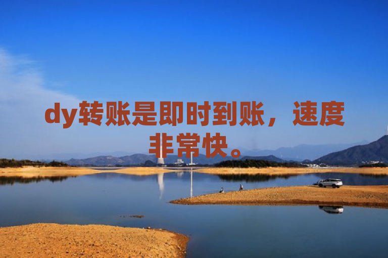 dy转账是即时到账，速度非常快。