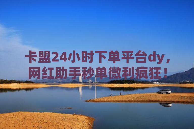 卡盟24小时下单平台dy，网红助手秒单微利疯狂！