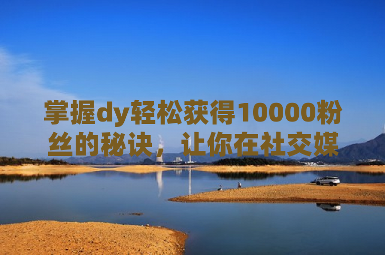 掌握dy轻松获得10000粉丝的秘诀，让你在社交媒体上迅速走红。