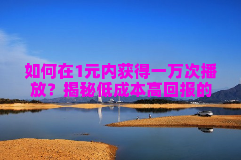 如何在1元内获得一万次播放？揭秘低成本高回报的营销策略！