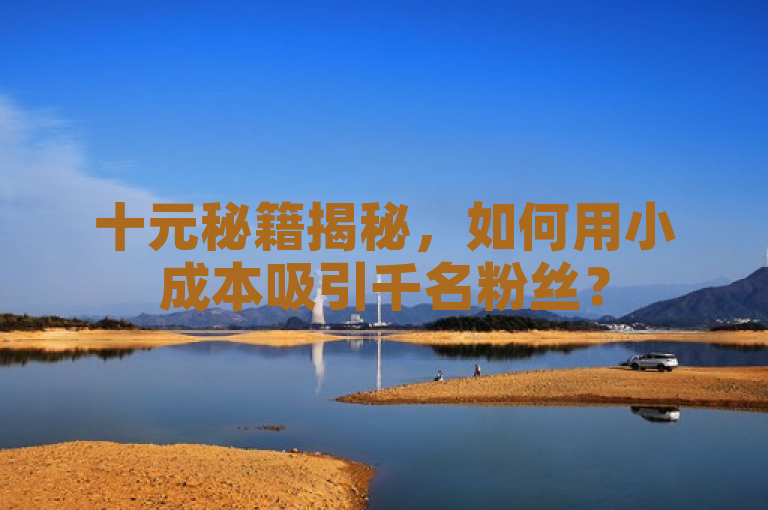 十元秘籍揭秘，如何用小成本吸引千名粉丝？