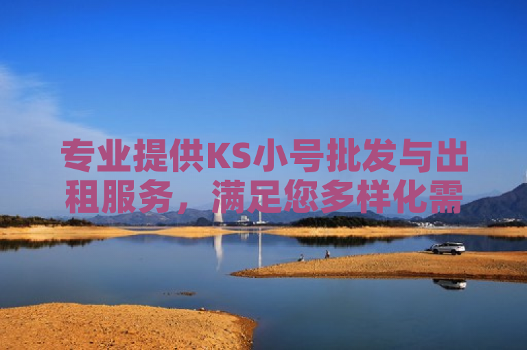 专业提供KS小号批发与出租服务，满足您多样化需求。