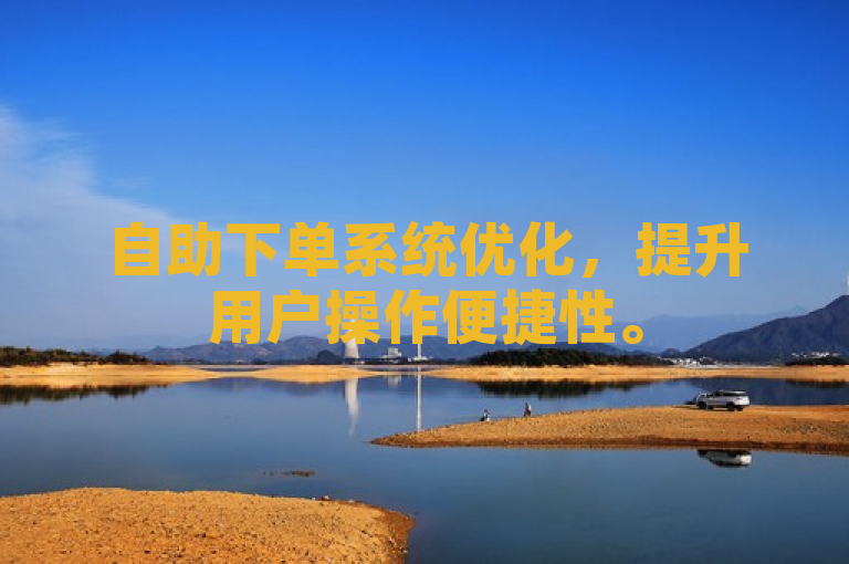 自助下单系统优化，提升用户操作便捷性。