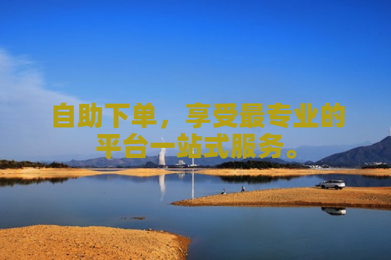 自助下单，享受最专业的平台一站式服务。