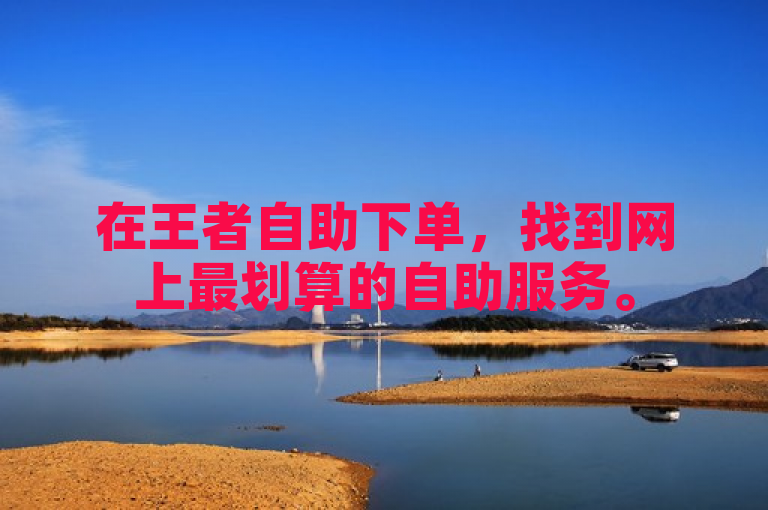 在王者自助下单，找到网上最划算的自助服务。